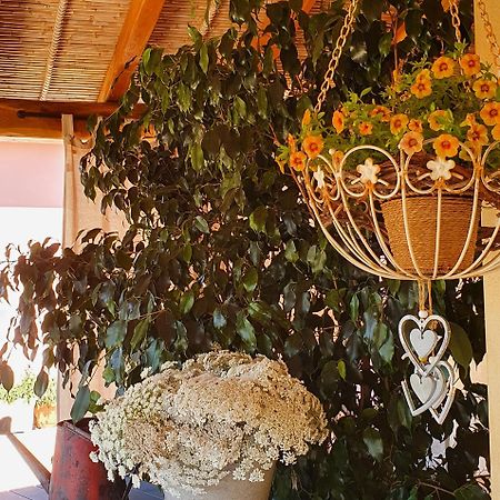 B&B La Vela Chia Εξωτερικό φωτογραφία