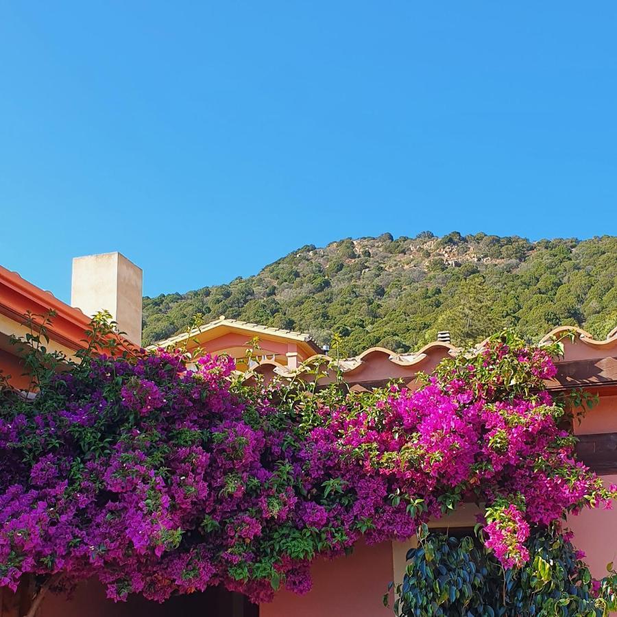 B&B La Vela Chia Εξωτερικό φωτογραφία