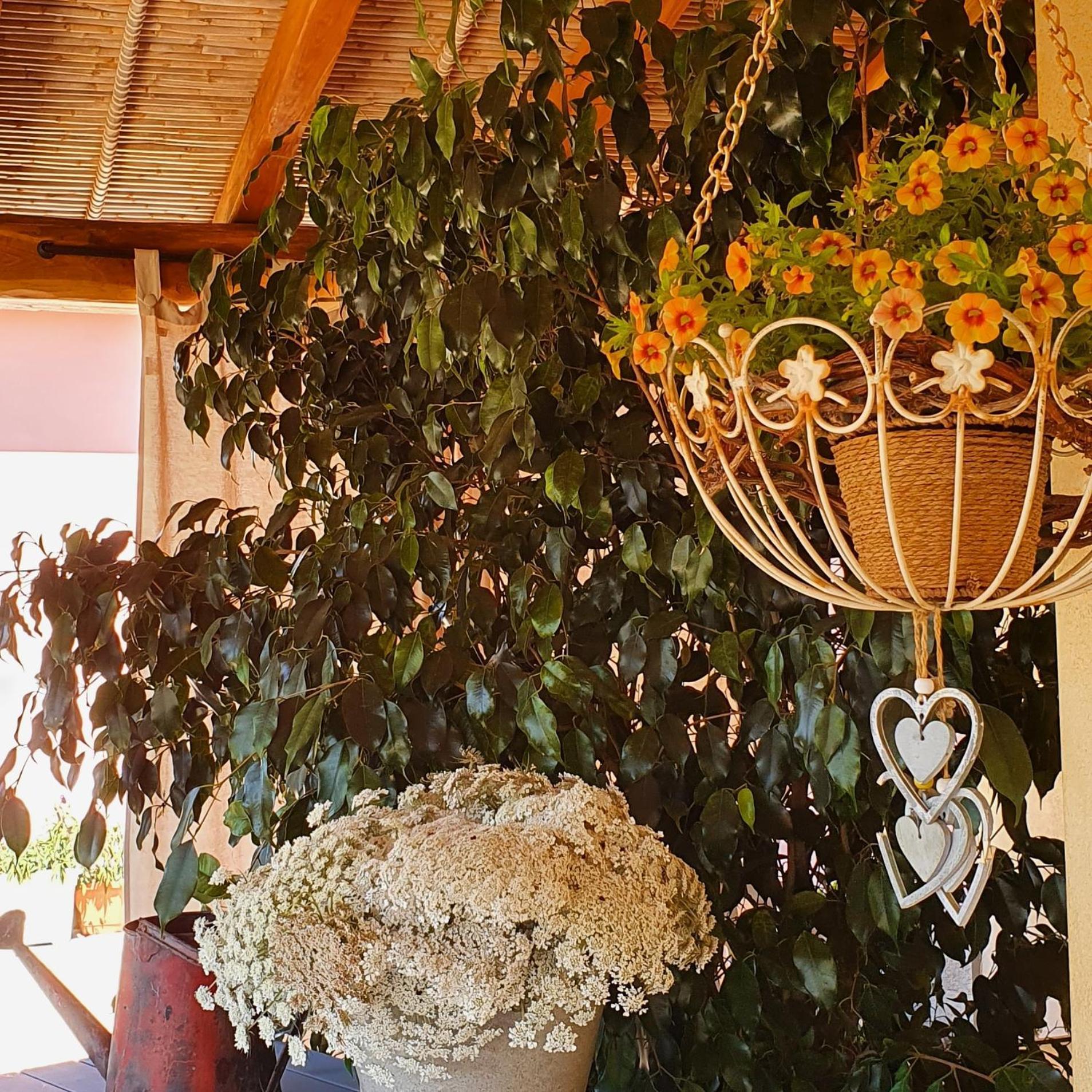 B&B La Vela Chia Εξωτερικό φωτογραφία