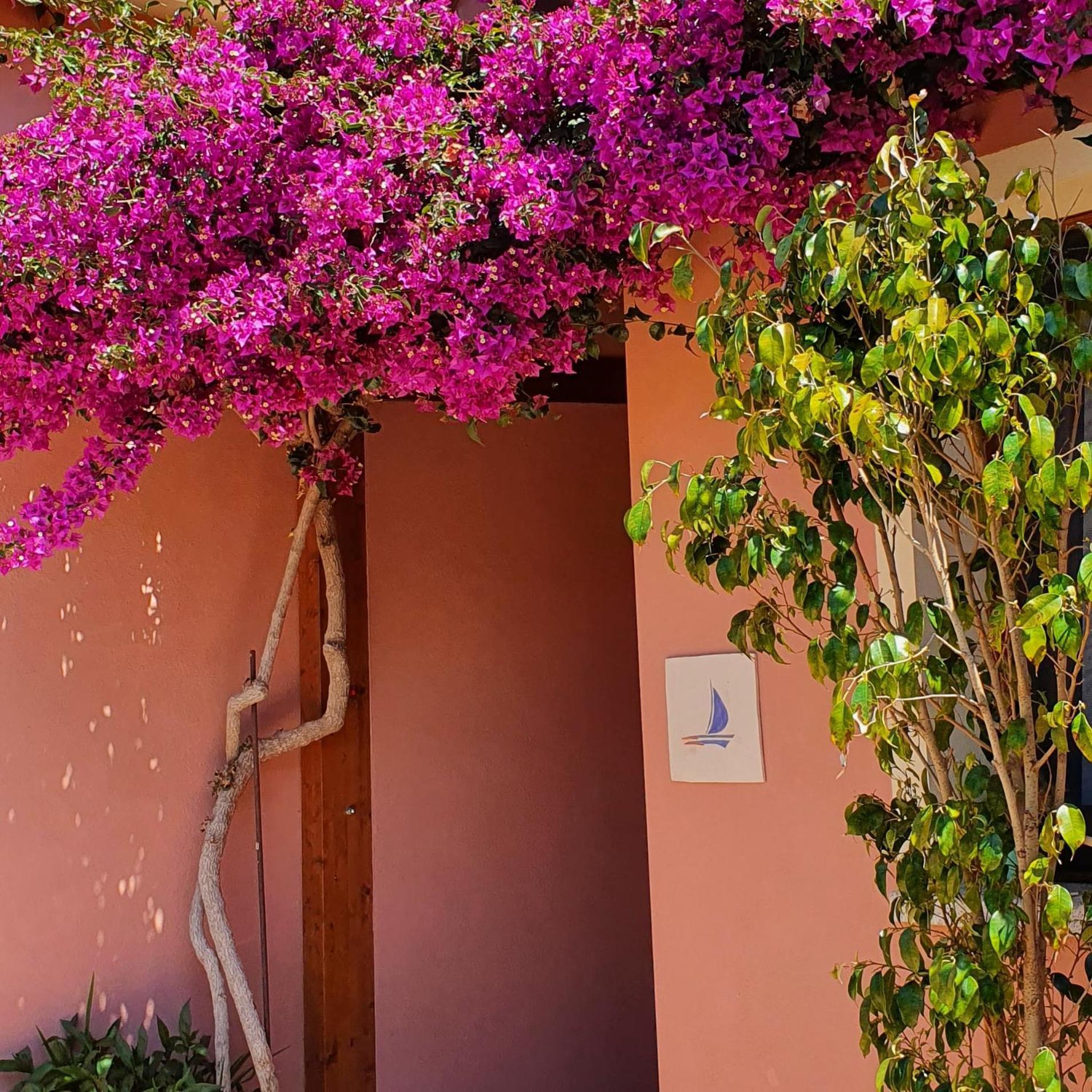 B&B La Vela Chia Εξωτερικό φωτογραφία